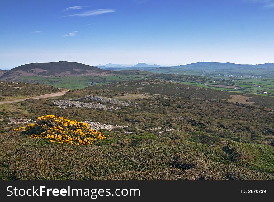 Mountains and pastures, welsh landscape