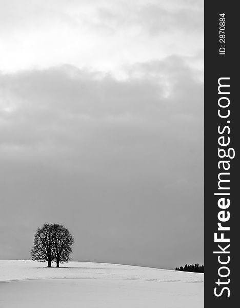 Winter solitude, tree and snow