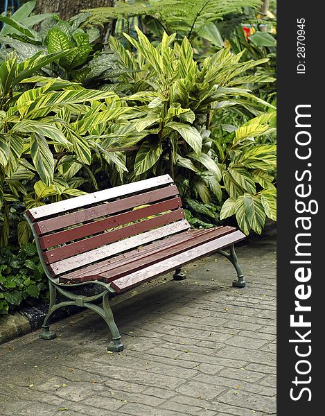 Empty wood bench at the park with trees and various plant. Empty wood bench at the park with trees and various plant