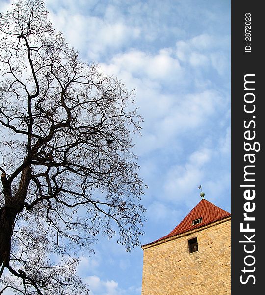 Tree, tower and cloudscape
