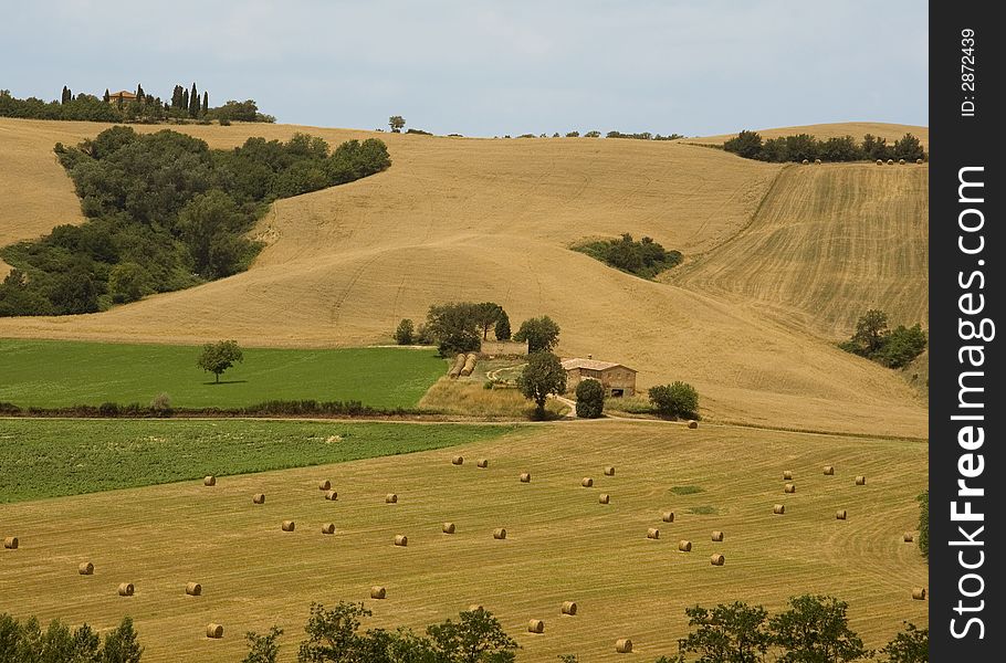 Rollings fields and hills in Tuscany. Rollings fields and hills in Tuscany