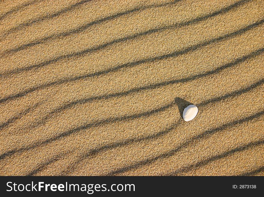 A pattern of small dunes and a shell by the sea shore. A pattern of small dunes and a shell by the sea shore.