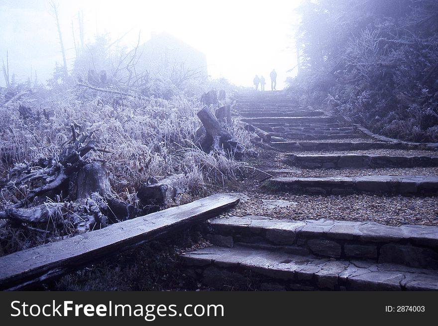 Mt Mitchell In Rime Ice