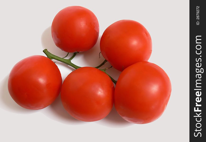 A bunch of ripe red tomatoes still together on the stem on white background.