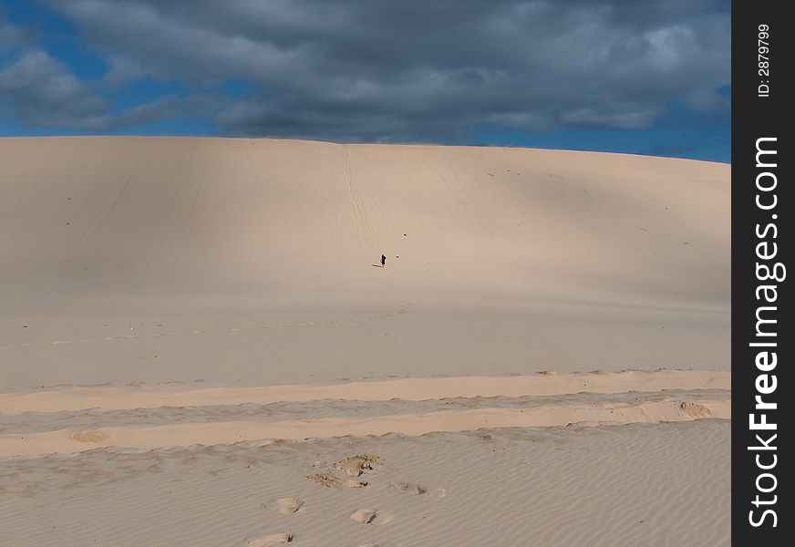 Man trekking up sand dune on Moreton Island, Australia. Man trekking up sand dune on Moreton Island, Australia