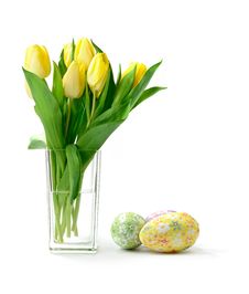 Easter Tulips Royalty Free Stock Photo