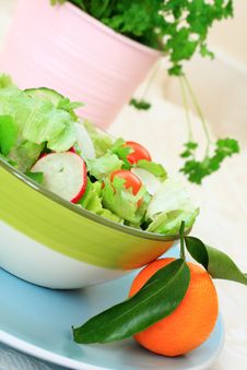 Healthy Salad On The Blue, Pastel Plate Royalty Free Stock Photos