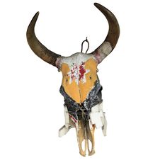 Bull Skull Isolated Stock Images Bull Skull Isolated Stock Images