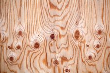 Wooden Texture With Many Knots Royalty Free Stock Images