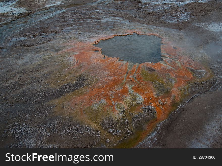 Colorful organisms thrive in the warm pool of a geyser. Colorful organisms thrive in the warm pool of a geyser.