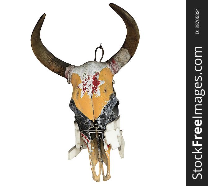 Bull Skull isolated on white background with clipping path