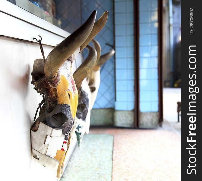 Skull of cow aligned on the wall