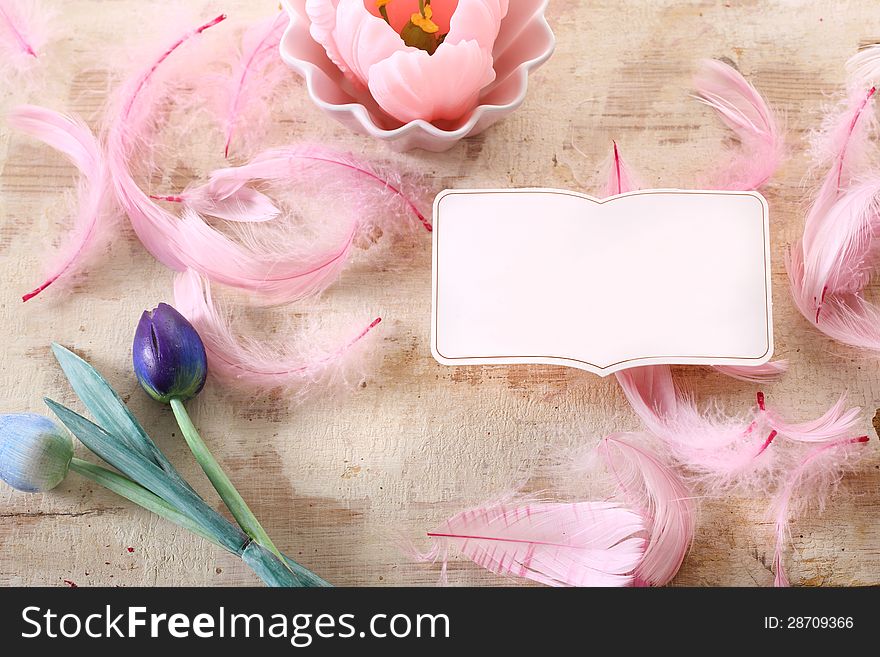 Pink bird feather on beige background