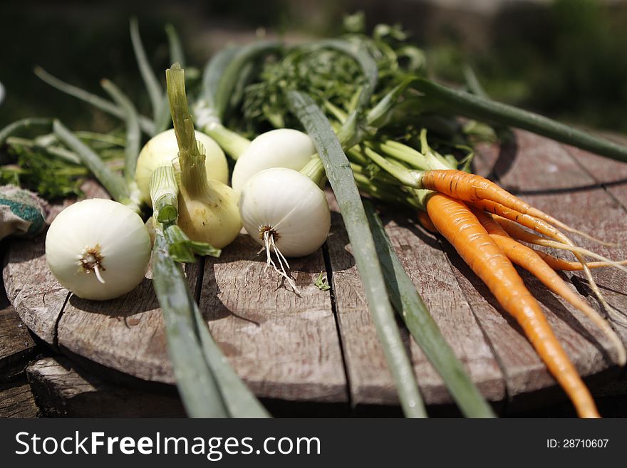 Fresh greens carrots and an onion lie washed up on the sun. Fresh greens carrots and an onion lie washed up on the sun