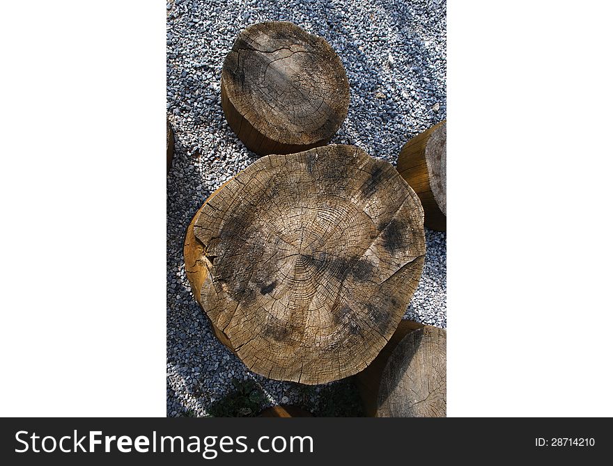 Tree stool and Gravel in Sunny Summer Day