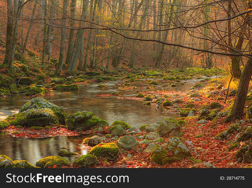 Beautiful Autumn Foliage And Mountain Stream In The Forest