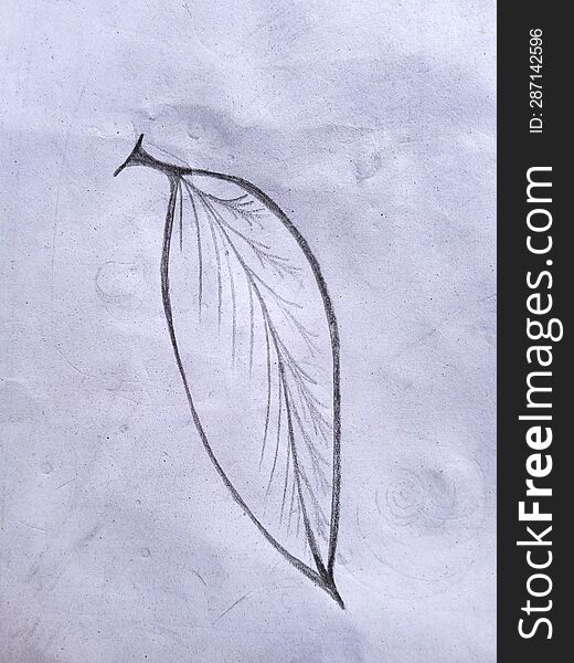 Hand drawn sketch of wide leaf on paper