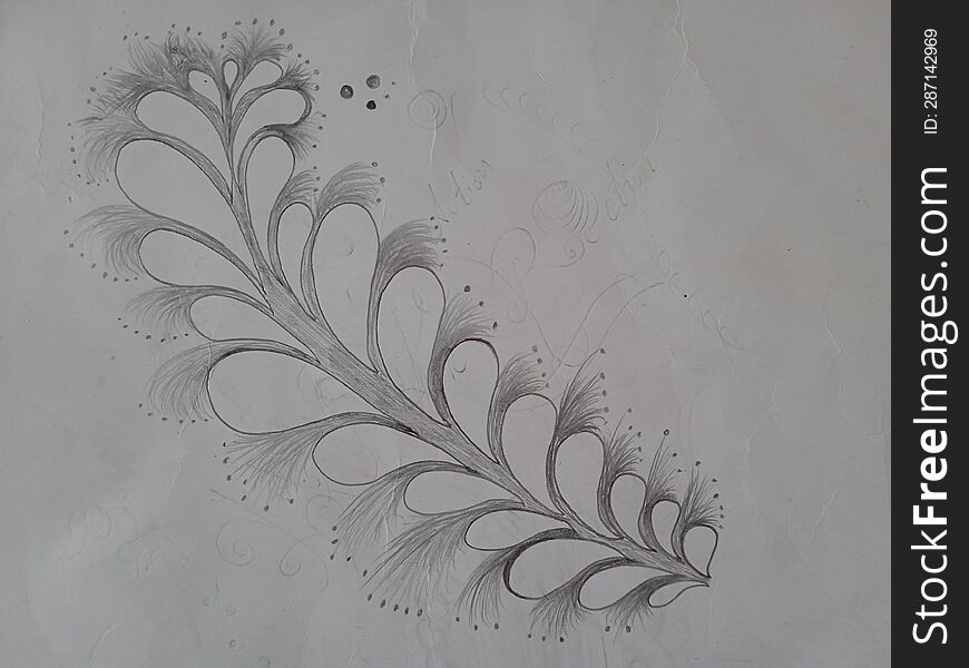 Hand drawn sketch of botanical leaves on paper