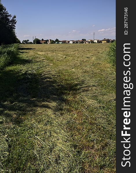 Mowed field bordered by trees with a group of houses in the italian countryside in summer