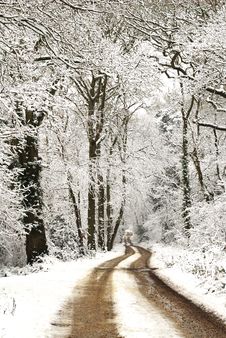 Winter Tracks On A Snowy Winters Day Stock Photos Winter Tracks On A Snowy Winters Day Stock Photos
