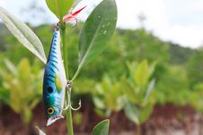 Fishing Lures. Royalty Free Stock Photo Fishing Lures. Royalty Free Stock Photo