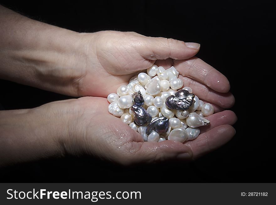 Black and white Pearls in female palms of old woman isolated on black background. Pearls collected from the water. Black and white Pearls in female palms of old woman isolated on black background. Pearls collected from the water.