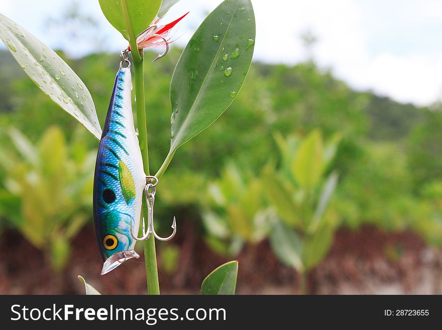 The Fishing Lures On the sea of trees. The Fishing Lures On the sea of trees.