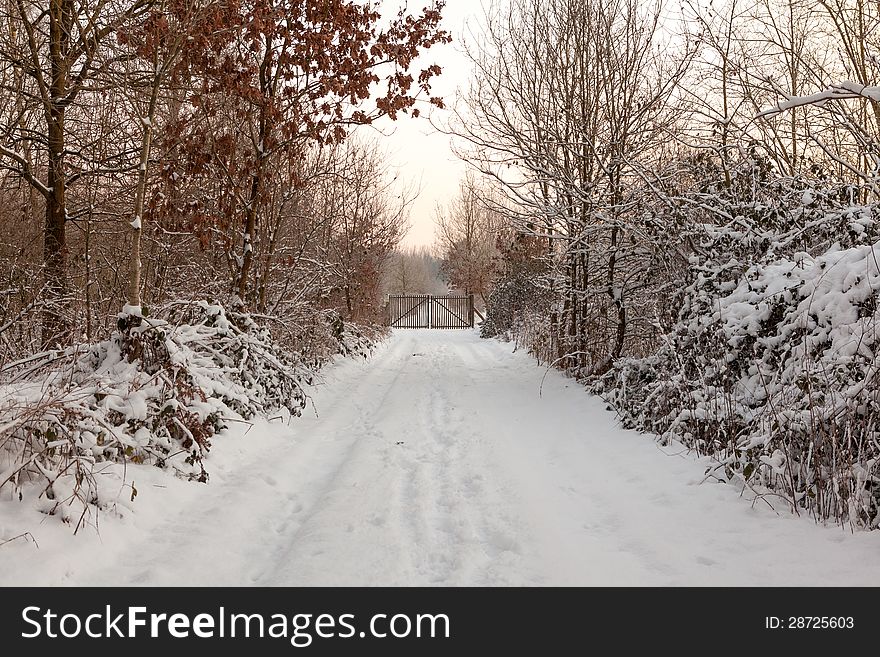 Gates at the end of the road , which is along the snowy trees