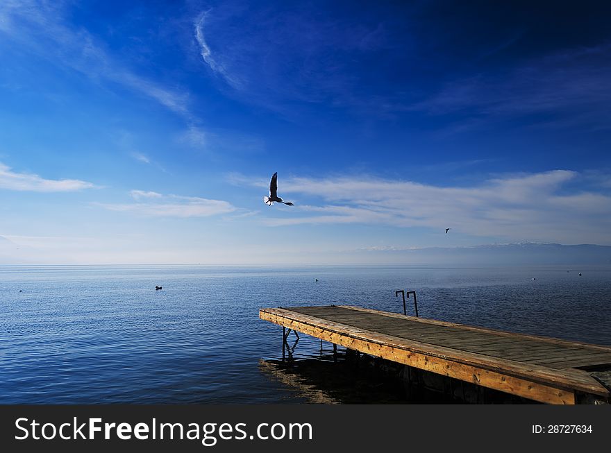 Ohrid's lake, wooden pier, seagull. Ohrid's lake, wooden pier, seagull