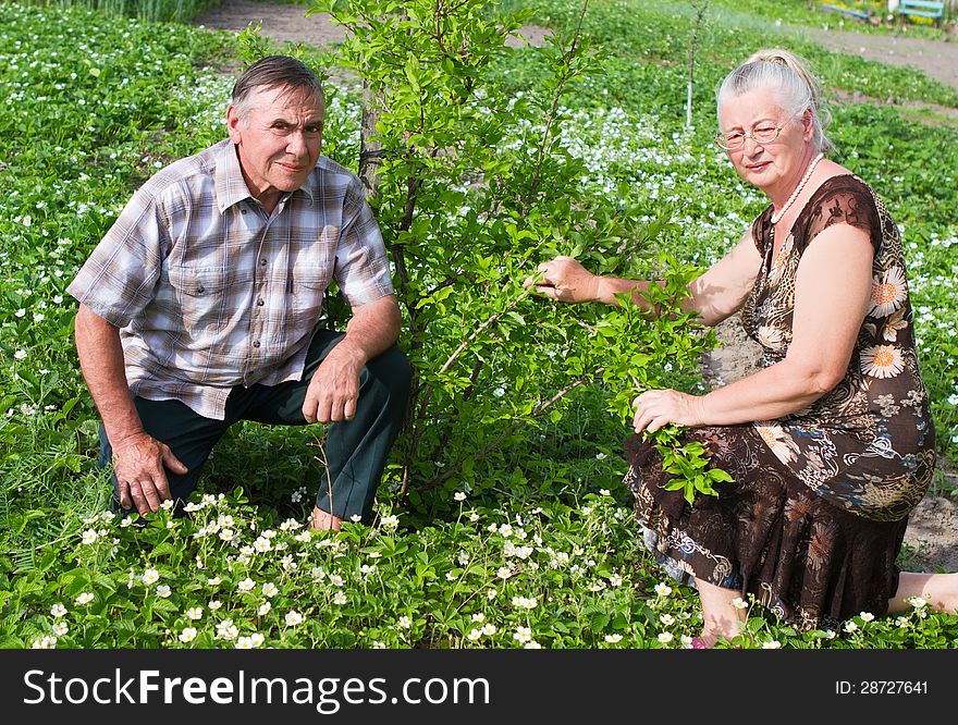 Closeup portrait of a smiling elderly couple