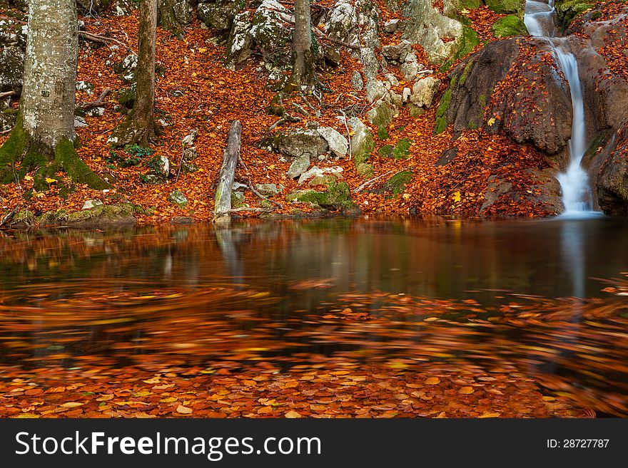 Beautiful Autumn Foliage And Mountain Stream In The Forest