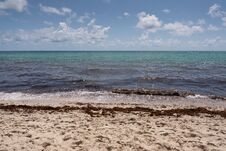 Serene Beauty Of A Beach With Powdery Sands And Gentle Waves, Rendered In Three Harmonious Shades Of Light And Light Blue. Royalty Free Stock Images