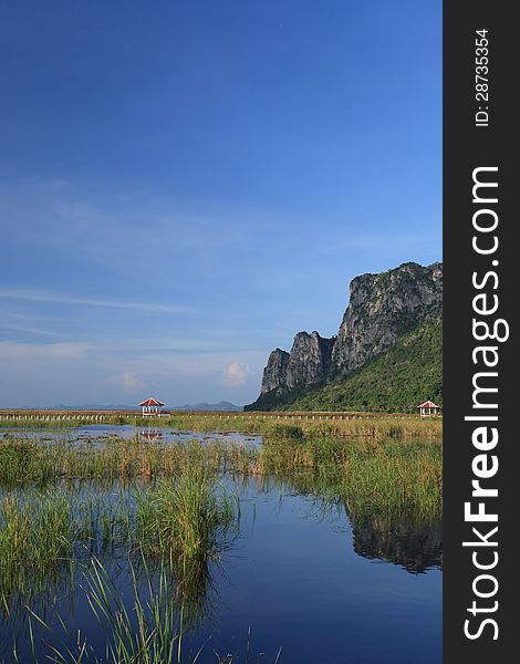 Wooden Bridge In Typha Angustifolia Lake