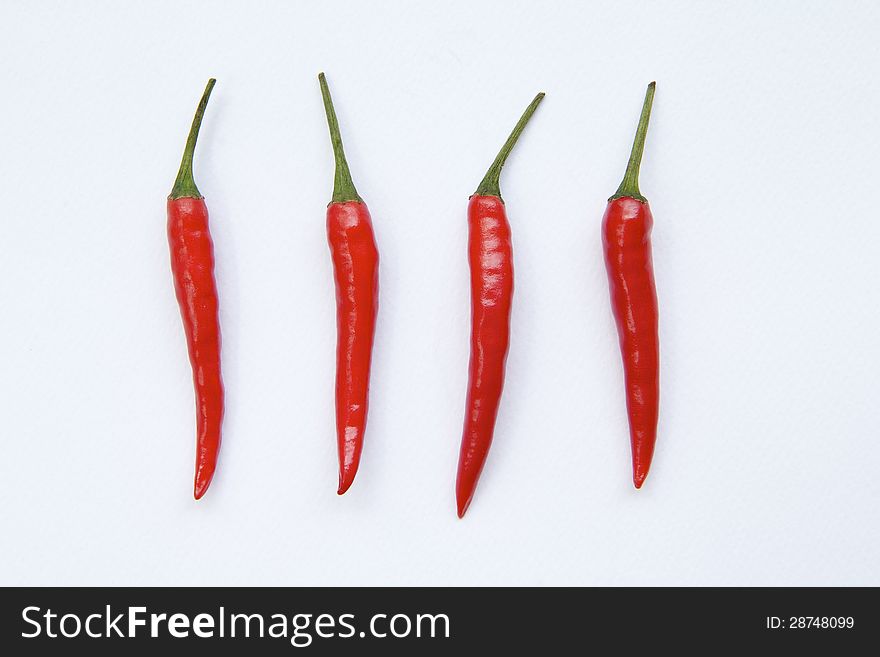 Red Hot Chili Pepper  on White Background