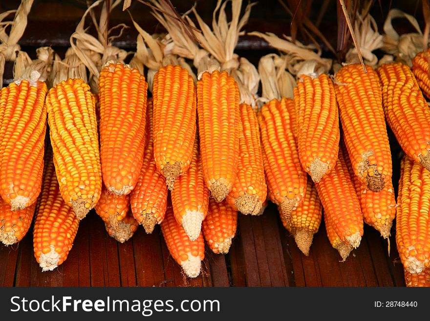 Dried Corn