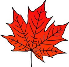 Red-Orange Maple Leaf Vector Art Stock Image
