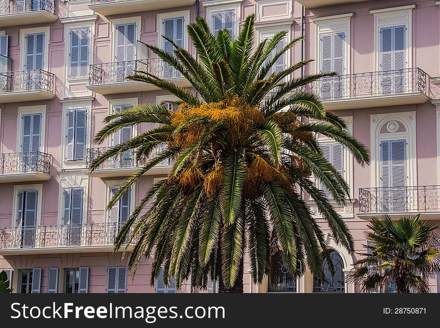 Palm trees on the Promenade des Anglais in Nice, France, with a beautiful, stylish building in the background.