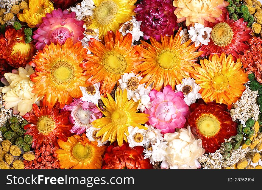 Colorful bouquet of dried flowers