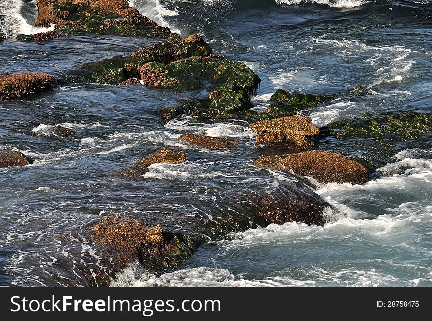 Low tide at La Jolla Cove in San Diego CA. Low tide at La Jolla Cove in San Diego CA