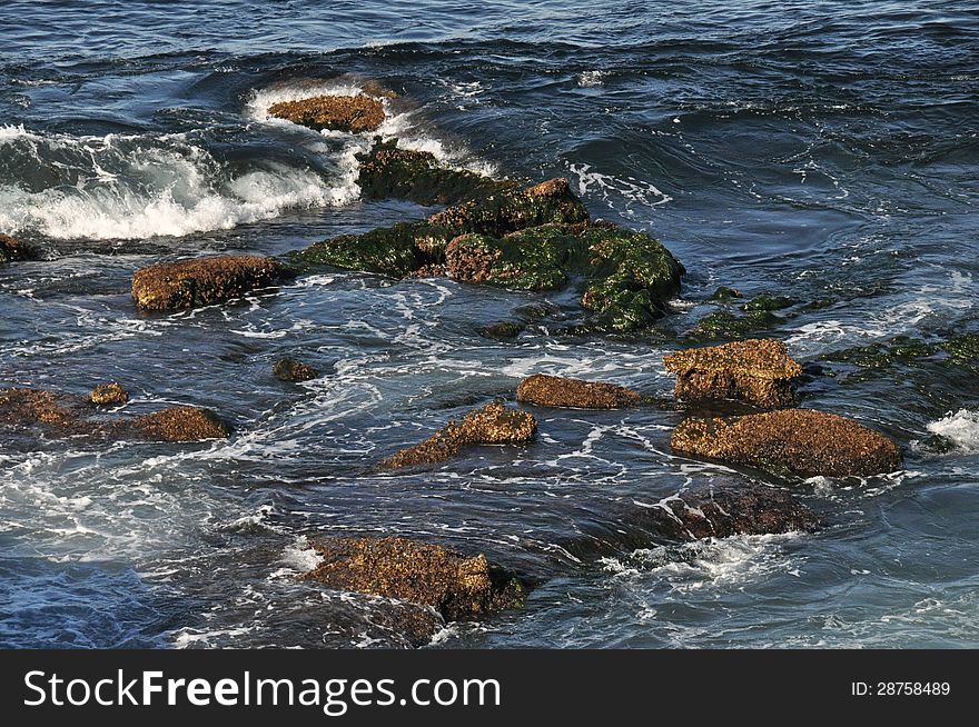 Low tide at La Jolla Cove in San Diego CA. Low tide at La Jolla Cove in San Diego CA