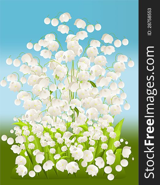 Spring composition with white flowers. Spring composition with white flowers
