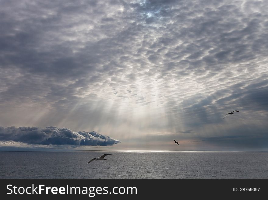 Seascape, the sun shining through the clouds and flying gulls