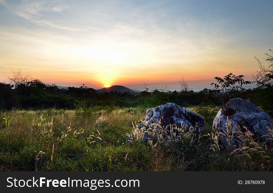 Sunrise In Green Rural Field