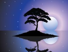 Black Silhouette Of Old Tree At Night Scene Stock Image Black Silhouette Of Old Tree At Night Scene Stock Image