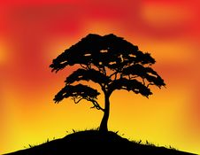 Africa Landscape Background Stock Image Africa Landscape Background Stock Image