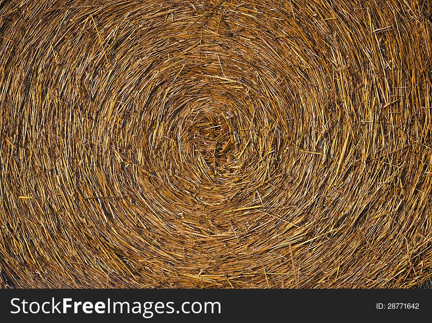 Bale golden straw texture ruminants animal food background. Bale golden straw texture ruminants animal food background