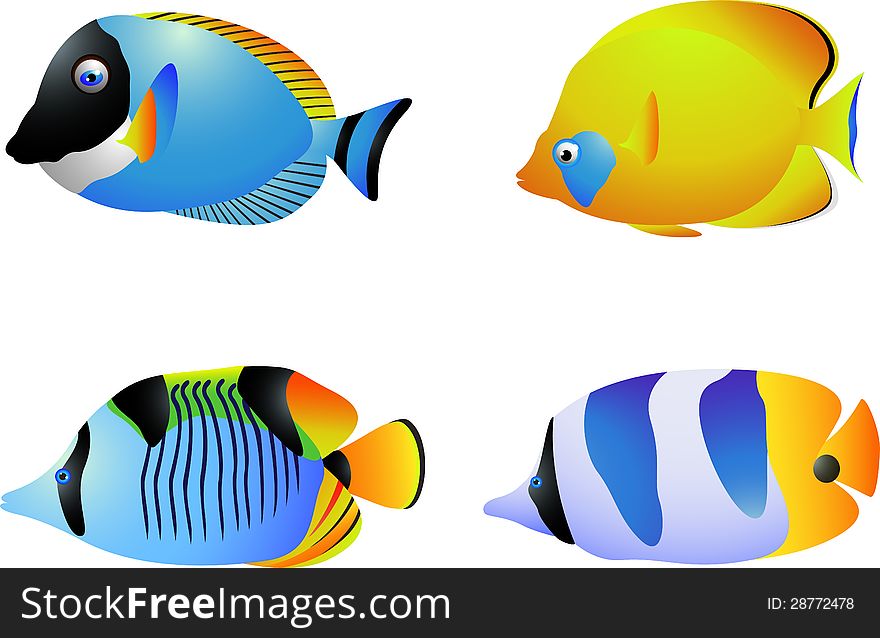 Illustration of Tropical fish collection