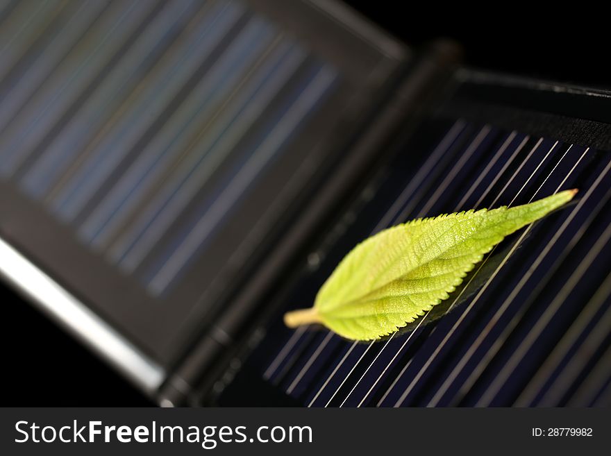 Green leaf on a small solar panel. Green leaf on a small solar panel