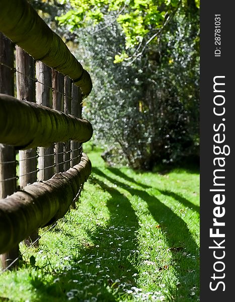 Abstract fence throwing its shadow on a juicy green grass. Abstract fence throwing its shadow on a juicy green grass