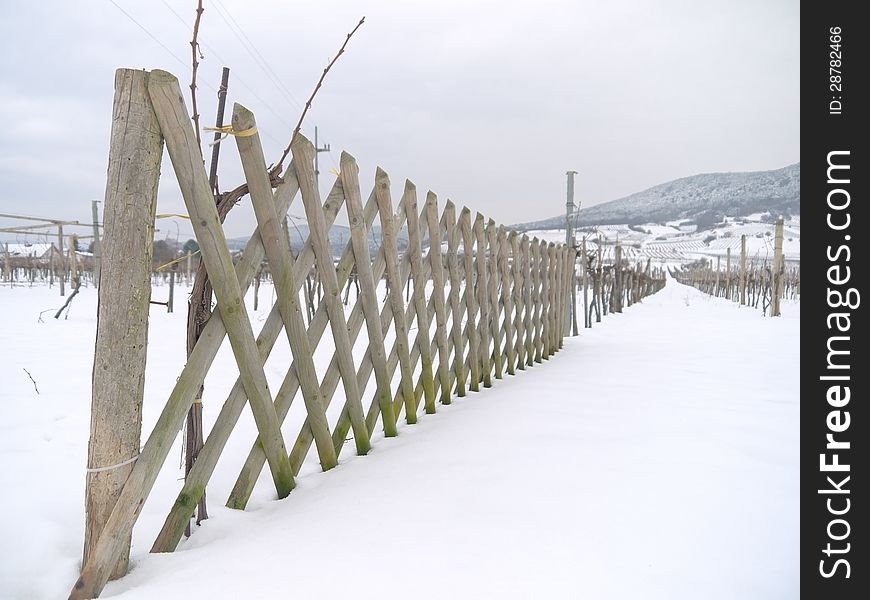A vineyard in Lower Austria in the Winter time. The photo was taken in PfaffstÃ¤tten, Lower Austria. A vineyard in Lower Austria in the Winter time. The photo was taken in PfaffstÃ¤tten, Lower Austria.